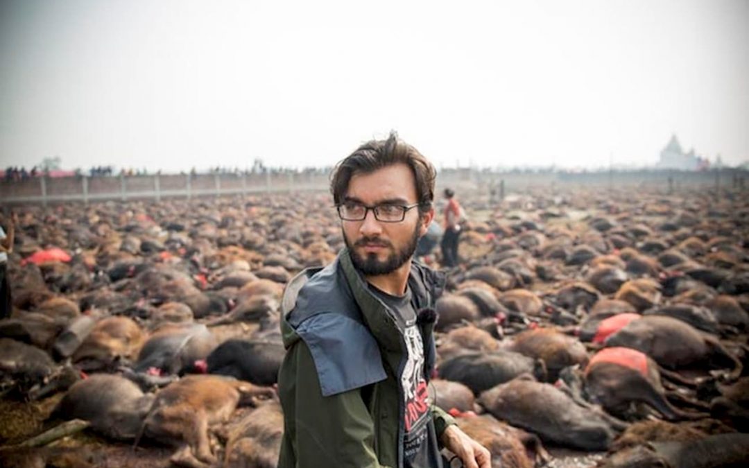 UPDATE: Gadhimai Animal Sacrifice